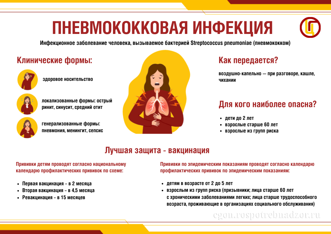Пневмококковая инфекция 