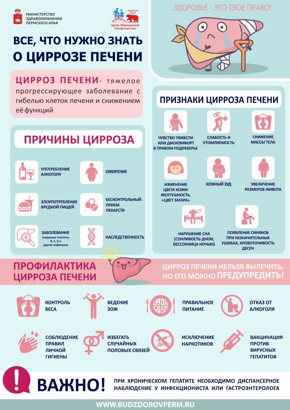 цирроз новый